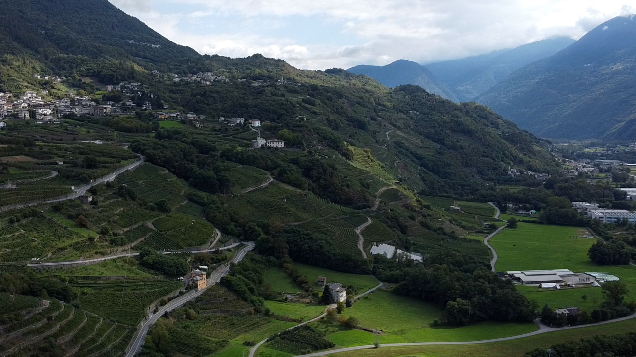 Regione Piemonte: 14,4 milioni di euro per i contributi agli agricoltori