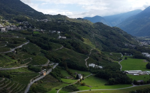 Regione Piemonte: 14,4 milioni di euro per i contributi agli agricoltori