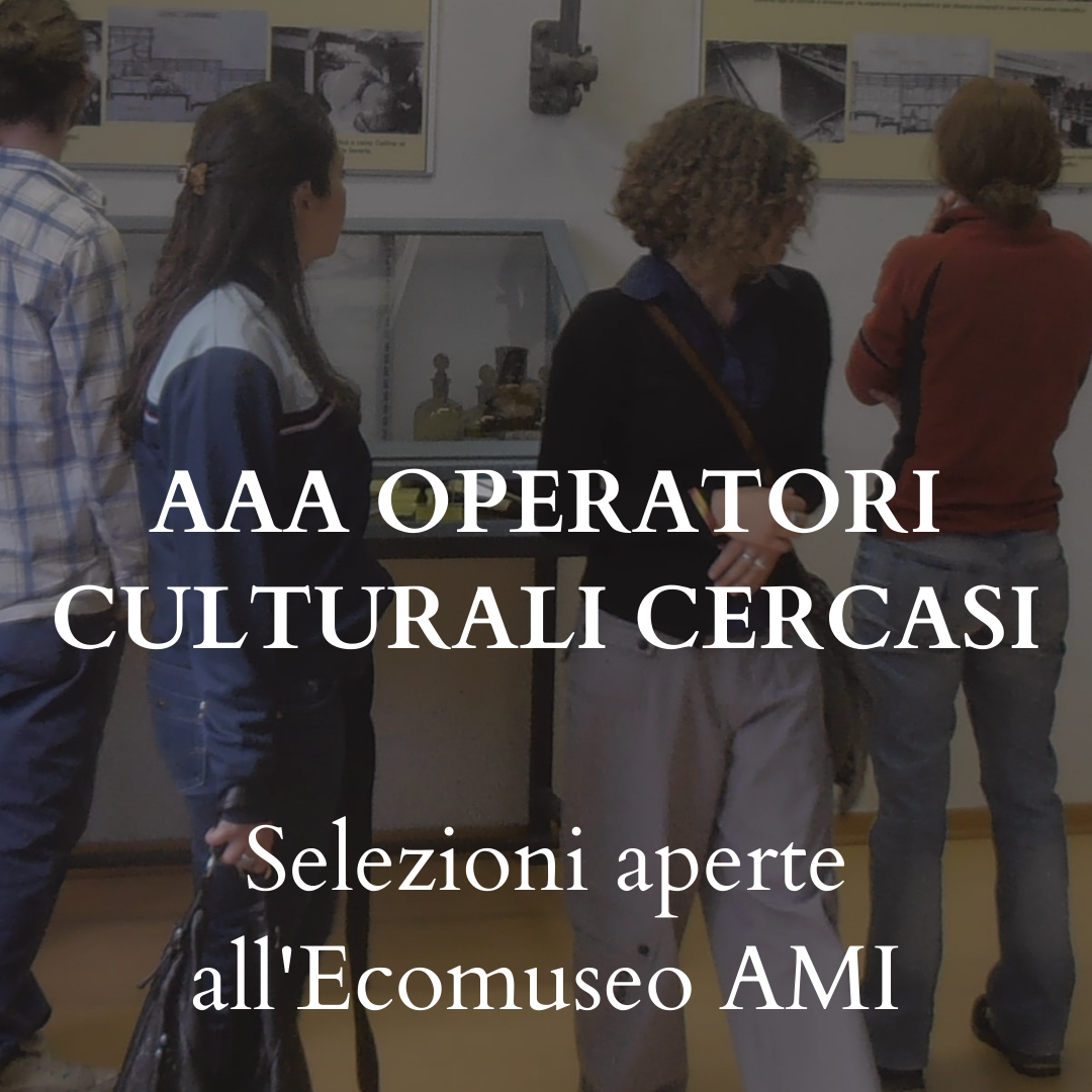 Ecomuseo Anfiteatro Morenico di Ivrea: aperto il bando per operatori culturali