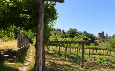 Appuntamenti del weekend a Ivrea e nell’Eporediese